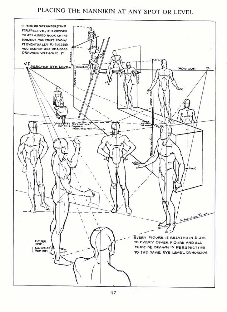 loomis-perspective-02